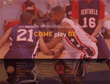 Tablet Screenshot of ngba.org